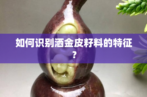 如何識別灑金皮籽料的特征？