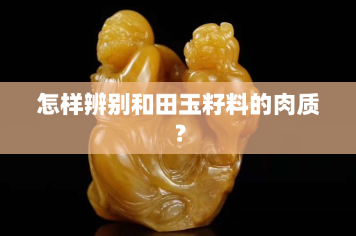 怎樣辨別和田玉籽料的肉質？