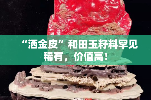 “灑金皮”和田玉籽料罕見(jiàn)稀有，價(jià)值高！