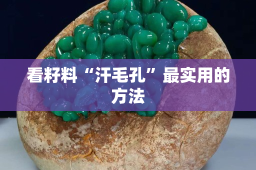 看籽料“汗毛孔”最實用的方法