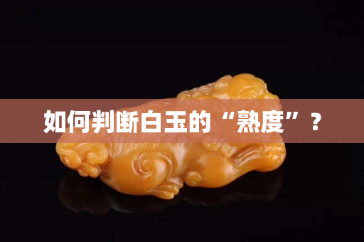 如何判斷白玉的“熟度”？