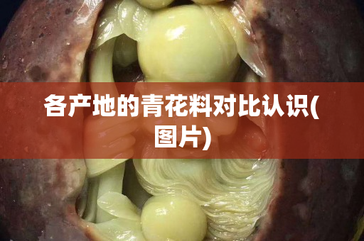 各產(chǎn)地的青花料對比認(rèn)識(圖片)