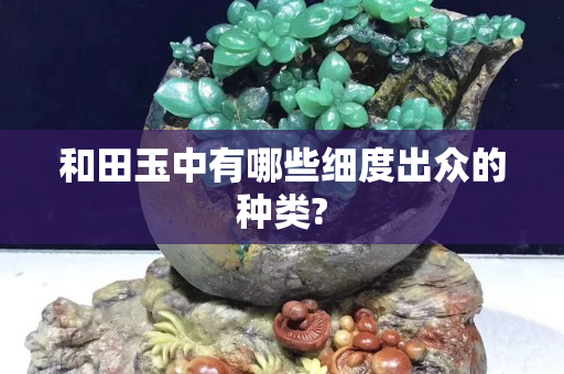 和田玉中有哪些細度出眾的種類?