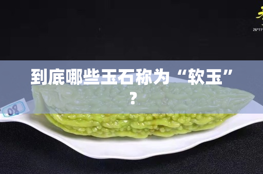 到底哪些玉石稱為“軟玉”？