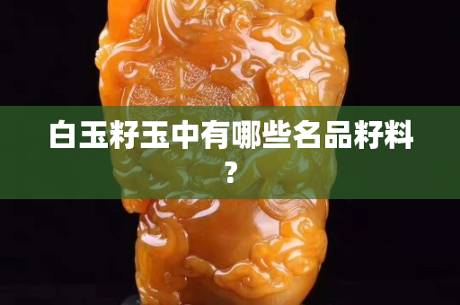 白玉籽玉中有哪些名品籽料? 白玉籽玉中有哪些名品籽料?