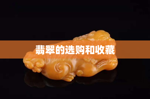 翡翠的選購和收藏 翡翠的選購和收藏