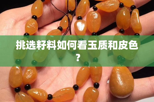 挑選籽料如何看玉質和皮色？