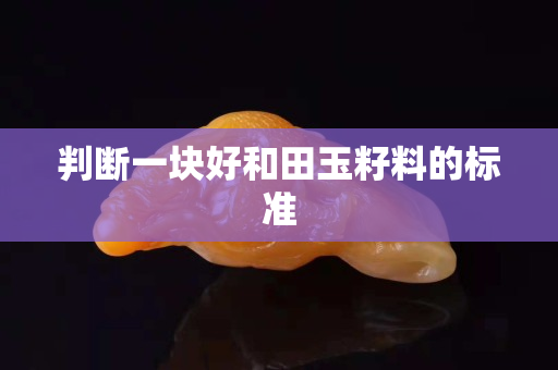 判斷一塊好和田玉籽料的標(biāo)準(zhǔn) 判斷一塊好和田玉籽料的標(biāo)準(zhǔn)