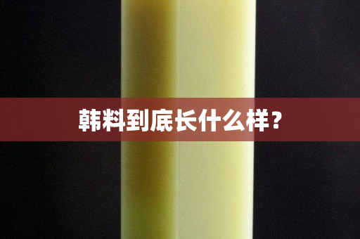 韓料到底長什么樣？