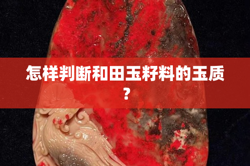 怎樣判斷和田玉籽料的玉質? 怎樣判斷和田玉籽料的玉質?