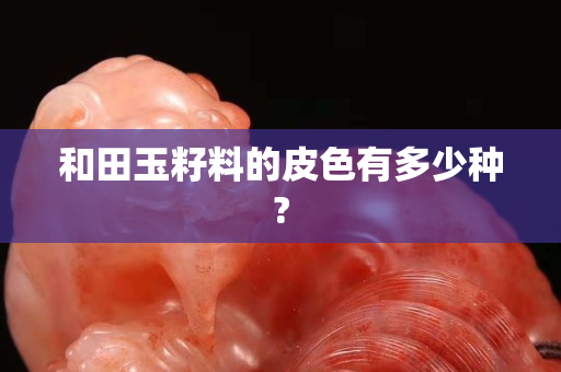 和田玉籽料的皮色有多少種?