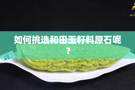 如何挑選和田玉籽料原石呢？