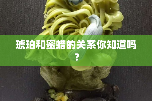 琥珀和蜜蠟的關(guān)系你知道嗎？