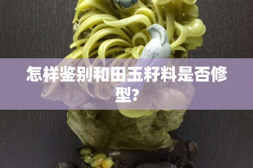 怎樣鑒別和田玉籽料是否修型? 怎樣鑒別和田玉籽料是否修型?