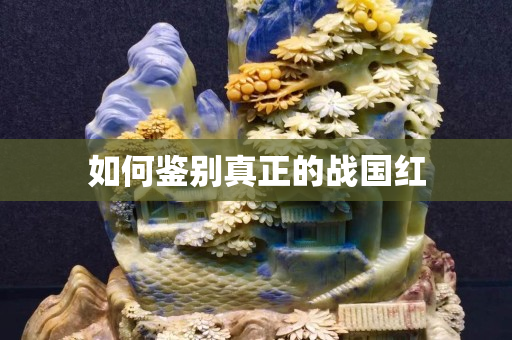 如何鑒別真正的戰國紅