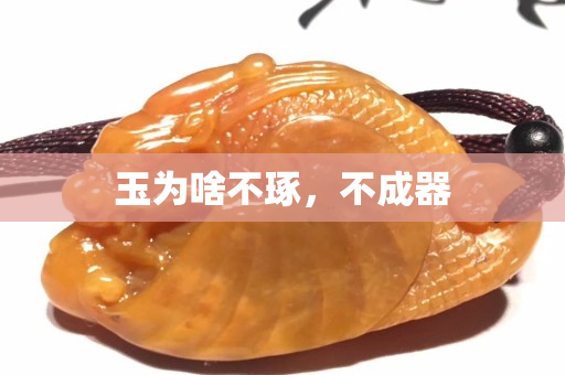 玉為啥不琢,不成器 玉為啥不琢,不成器