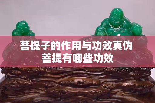 菩提子的作用與功效真?zhèn)?菩提有哪些功效