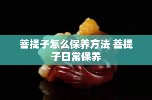 菩提子怎么保養方法 菩提子日常保養