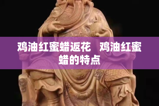 雞油紅蜜蠟返花   雞油紅蜜蠟的特點
