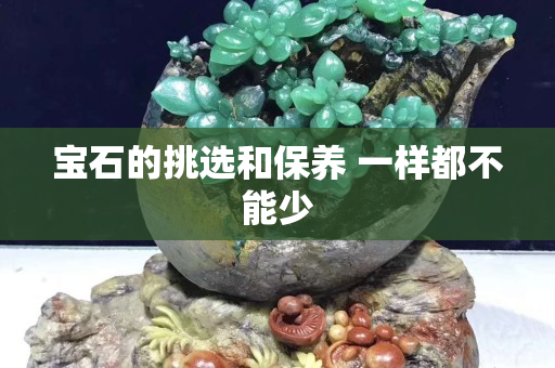 寶石的挑選和保養(yǎng) 一樣都不能少