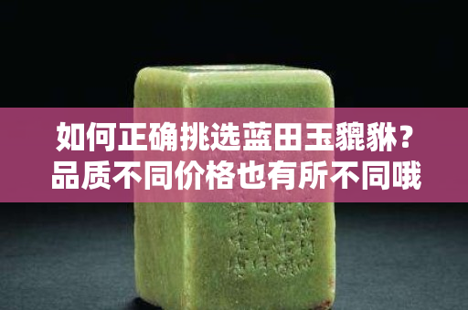 如何正確挑選藍田玉貔貅？品質不同價格也有所不同哦