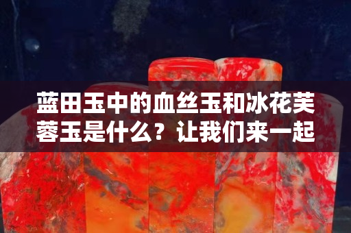 藍田玉中的血絲玉和冰花芙蓉玉是什么？讓我們來一起了解一番