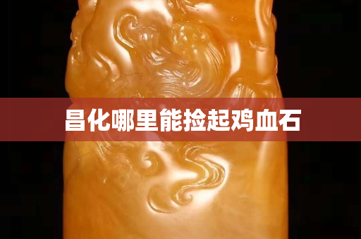 昌化哪里能撿起雞血石