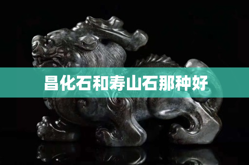 昌化石和壽山石那種好