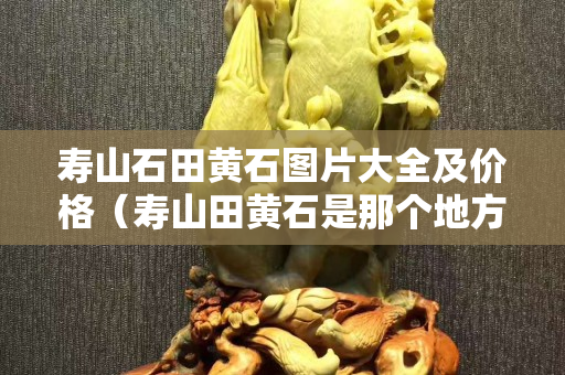 壽山石田黃石圖片大全及價(jià)格（壽山田黃石是那個(gè)地方）