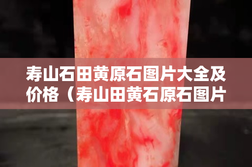 壽山石田黃原石圖片大全及價格（壽山田黃石原石圖片剛出土的田黃）