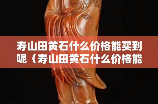 壽山田黃石什么價格能買到呢（壽山田黃石什么價格能買到呢）