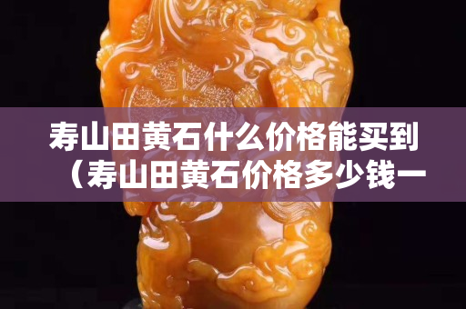 壽山田黃石什么價格能買到（壽山田黃石價格多少錢一克）