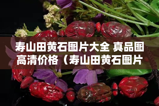 壽山田黃石圖片大全 真品圖高清價格（壽山田黃石圖片大全 真品圖高清價格表）