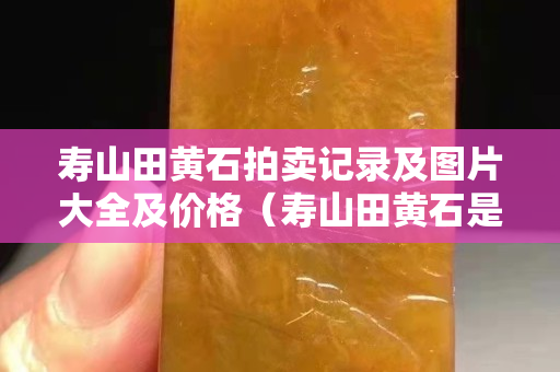 壽山田黃石拍賣記錄及圖片大全及價(jià)格（壽山田黃石是那個(gè)地方）