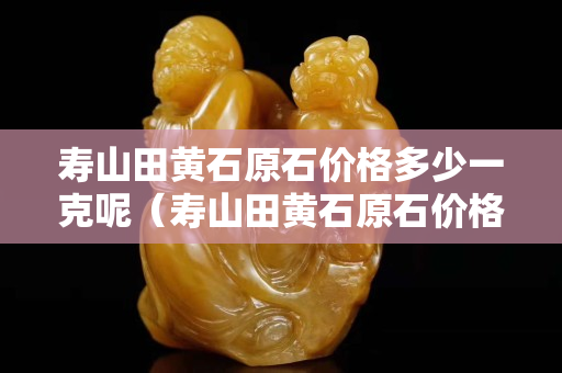 壽山田黃石原石價格多少一克呢（壽山田黃石原石價格多少一克呢視頻）