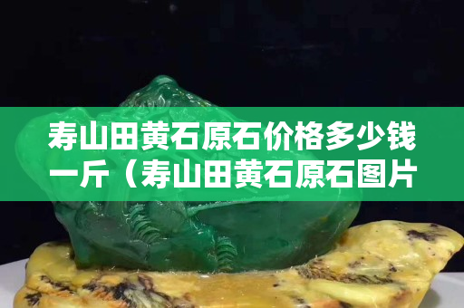 壽山田黃石原石價格多少錢一斤(壽山田黃石原石圖片剛出土的田黃) 壽山田黃石原石價格多少錢一斤(壽山田黃石原石圖片剛出土的田黃)