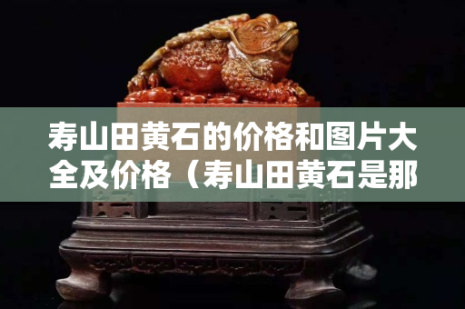 壽山田黃石的價(jià)格和圖片大全及價(jià)格（壽山田黃石是那個(gè)地方）