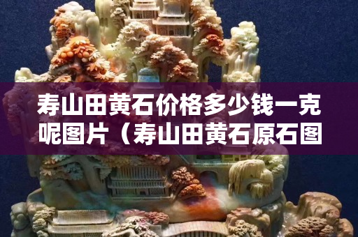 壽山田黃石價格多少錢一克呢圖片（壽山田黃石原石圖片剛出土的田黃）