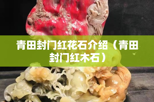 青田封門紅花石介紹(青田封門紅木石) 青田封門紅花石介紹(青田封門紅木石)