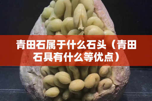青田石屬于什么石頭(青田石具有什么等優(yōu)點(diǎn)) 青田石屬于什么石頭(青田石具有什么等優(yōu)點(diǎn))