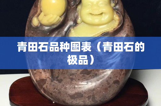 青田石品種圖表（青田石的極品）