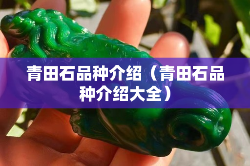 青田石品種介紹（青田石品種介紹大全）
