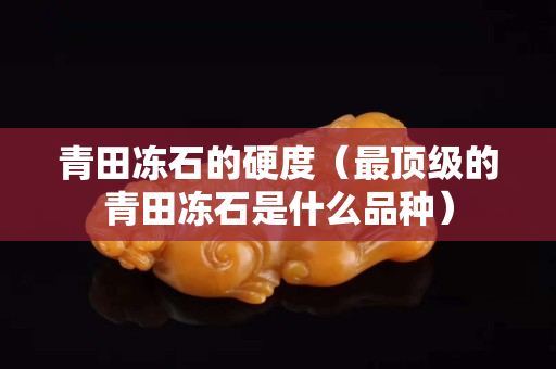 青田凍石的硬度（最頂級的青田凍石是什么品種）