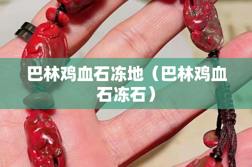 巴林雞血石凍地（巴林雞血石凍石）