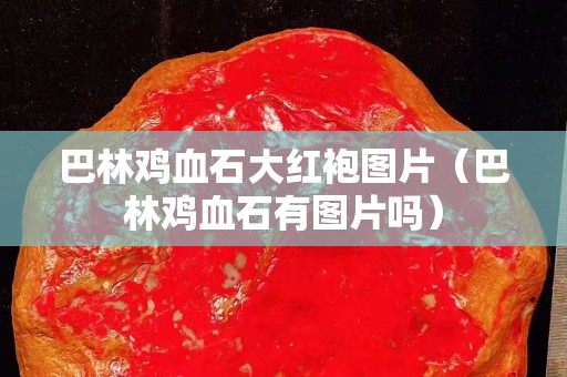 巴林雞血石大紅袍圖片(巴林雞血石有圖片嗎) 巴林雞血石大紅袍圖片(巴林雞血石有圖片嗎)