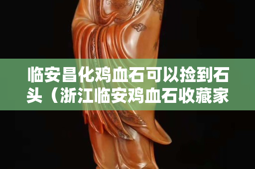 臨安昌化雞血石可以撿到石頭（浙江臨安雞血石收藏家）