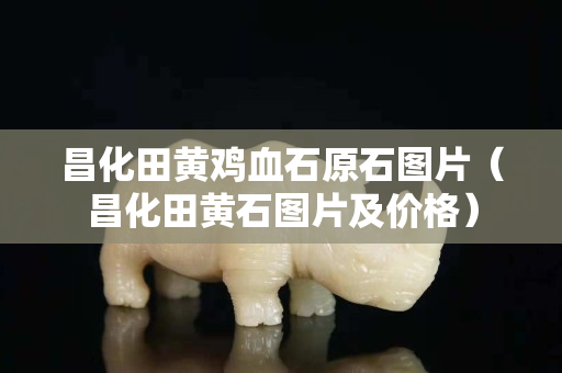 昌化田黃雞血石原石圖片(昌化田黃石圖片及價格) 昌化田黃雞血石原石圖片(昌化田黃石圖片及價格)