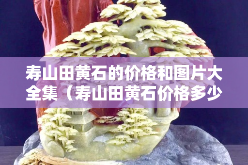 壽山田黃石的價格和圖片大全集（壽山田黃石價格多少錢一克2020）
