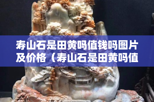 壽山石是田黃嗎值錢嗎圖片及價(jià)格（壽山石是田黃嗎值錢嗎圖片及價(jià)格表）