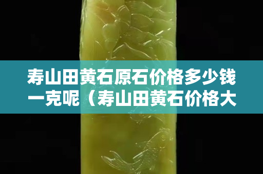 壽山田黃石原石價格多少錢一克呢(壽山田黃石價格大幅下跌) 壽山田黃石原石價格多少錢一克呢(壽山田黃石價格大幅下跌)